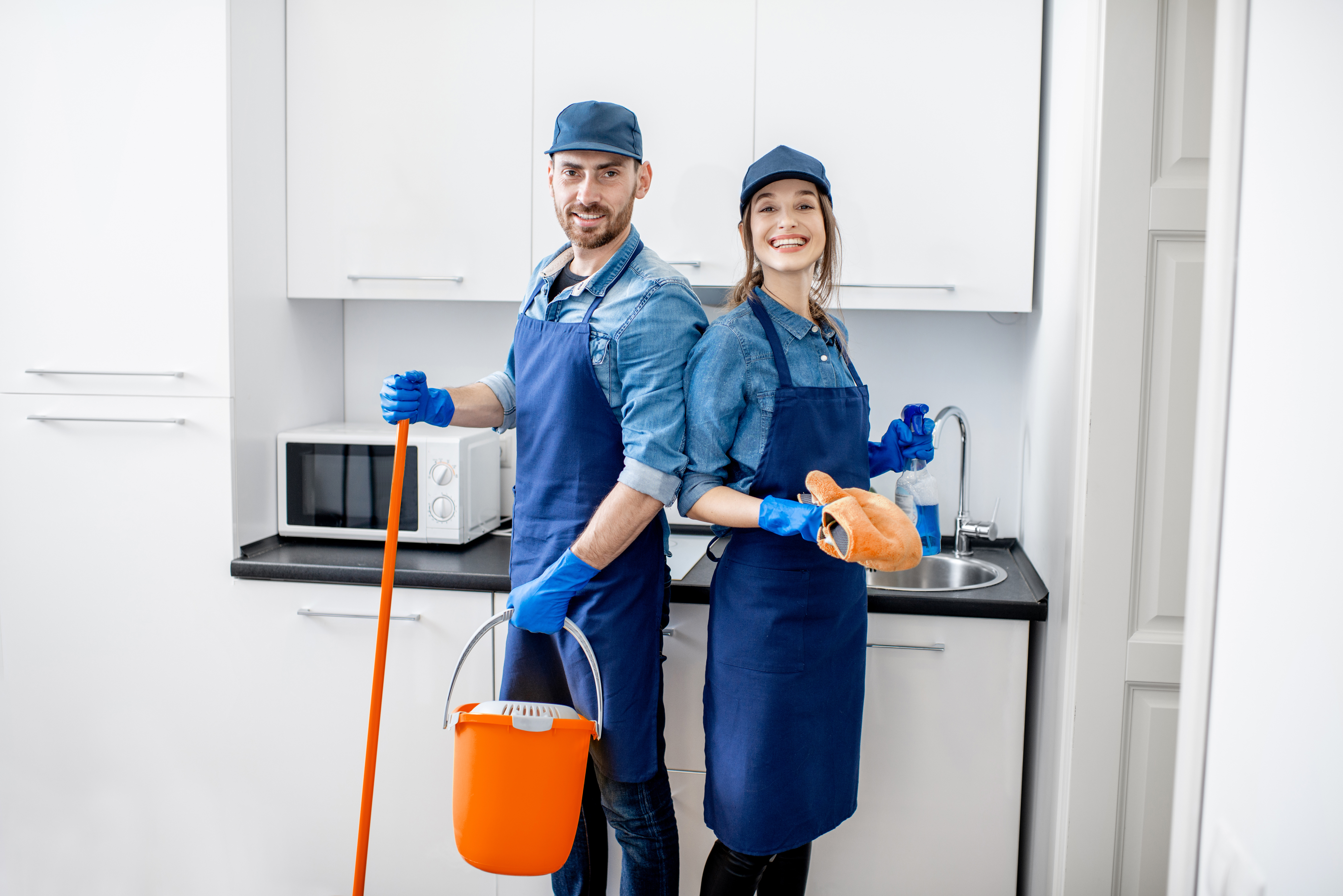 Cleaning professionals